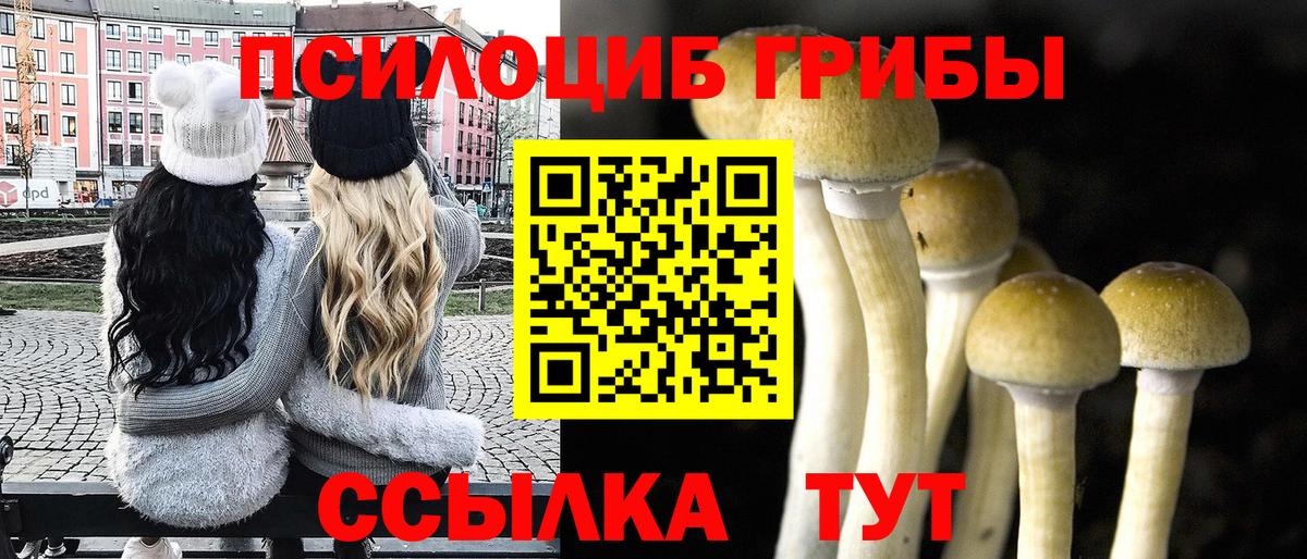 Псилоцибиновые грибы мицелий Соликамск
