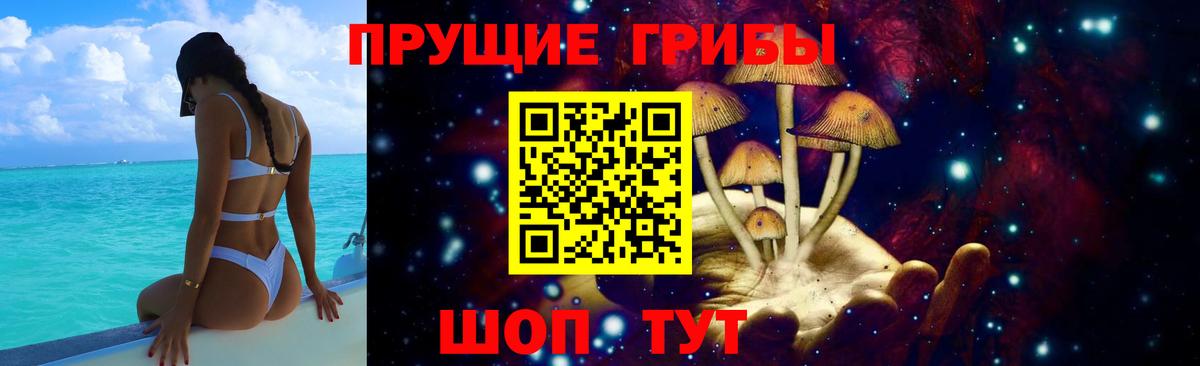 Соликамск  Галлюциногенные грибы Psilocybe  купить наркотики цена  Вход с VPN 